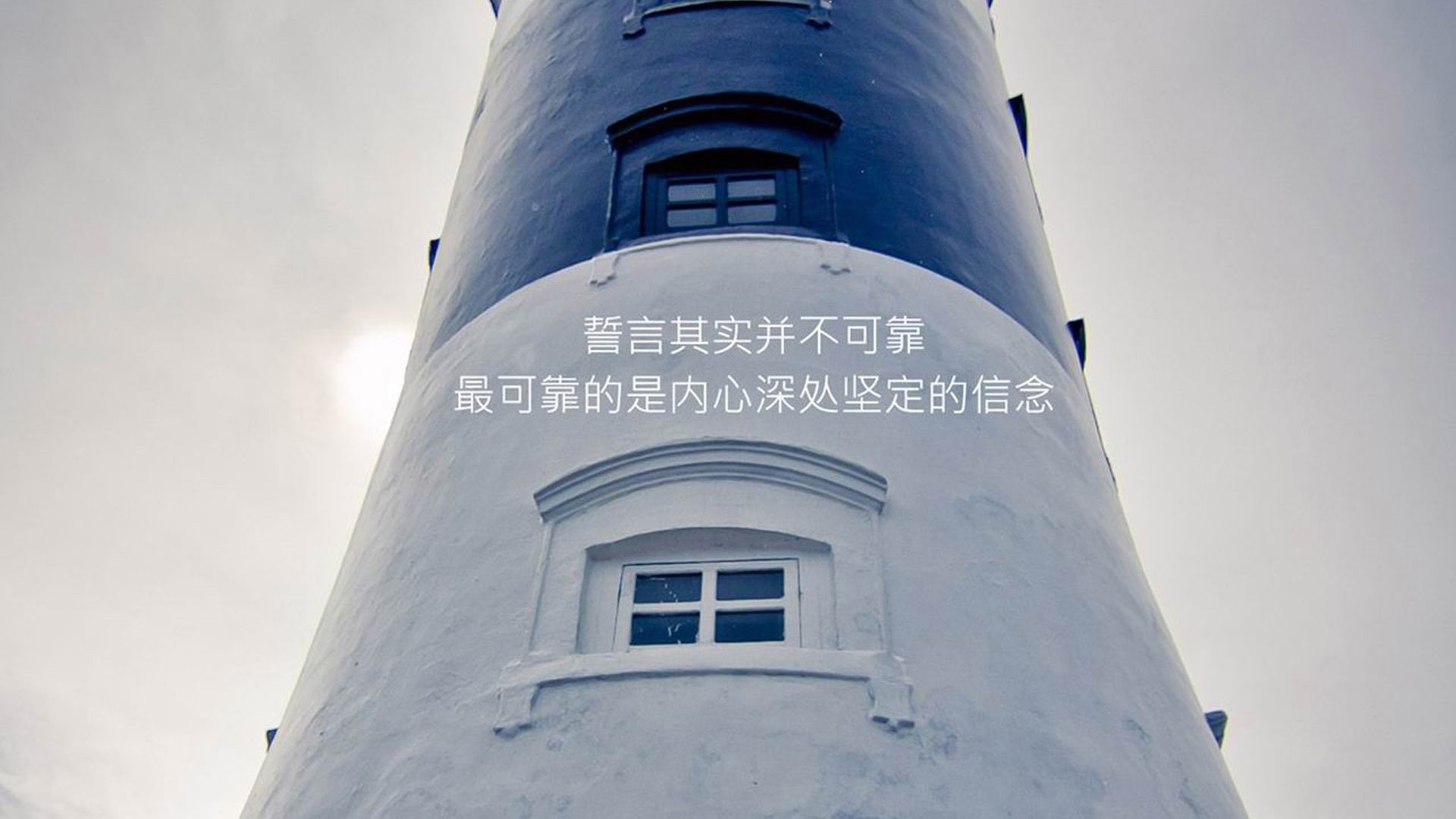 2026年乒乓球胶皮选购：狂飙、蝴蝶、多尼克哪个好？，多尼克和狂飙的重量